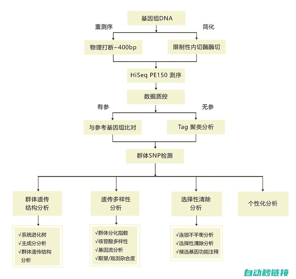 探索其技术前沿与发展趋势 (探索前沿技术)