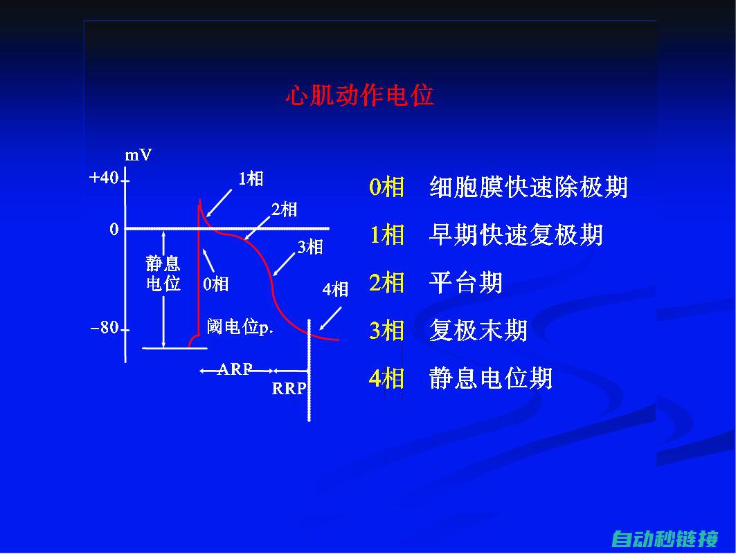 电位的定义与重要性 (电位的定义与分类)